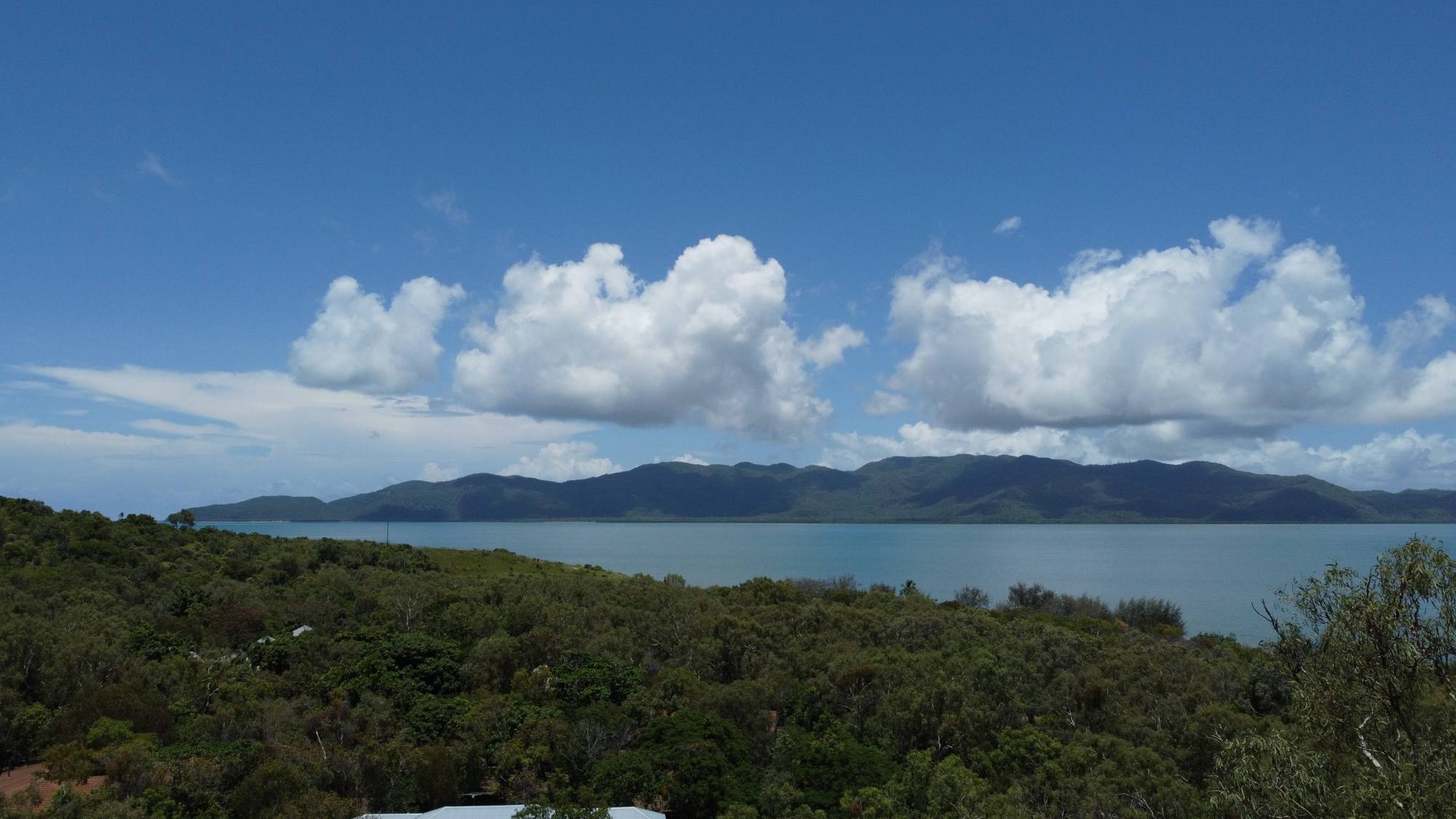 Bushland and the bay